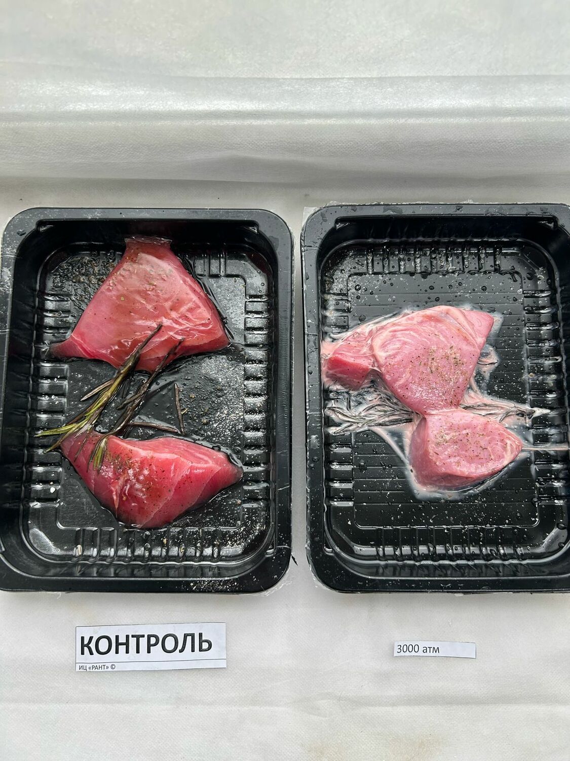 Проведение экспериментов и исследований 